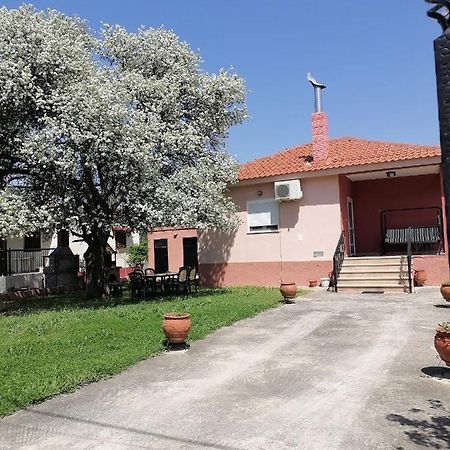 Αξέχαστη Διαμονή - Unforgettable Accommodation Nea Kallikrateia Eksteriør billede