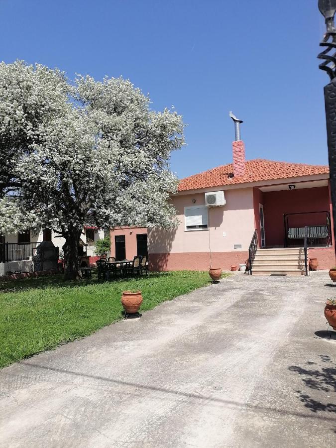 Αξέχαστη Διαμονή - Unforgettable Accommodation Nea Kallikrateia Eksteriør billede