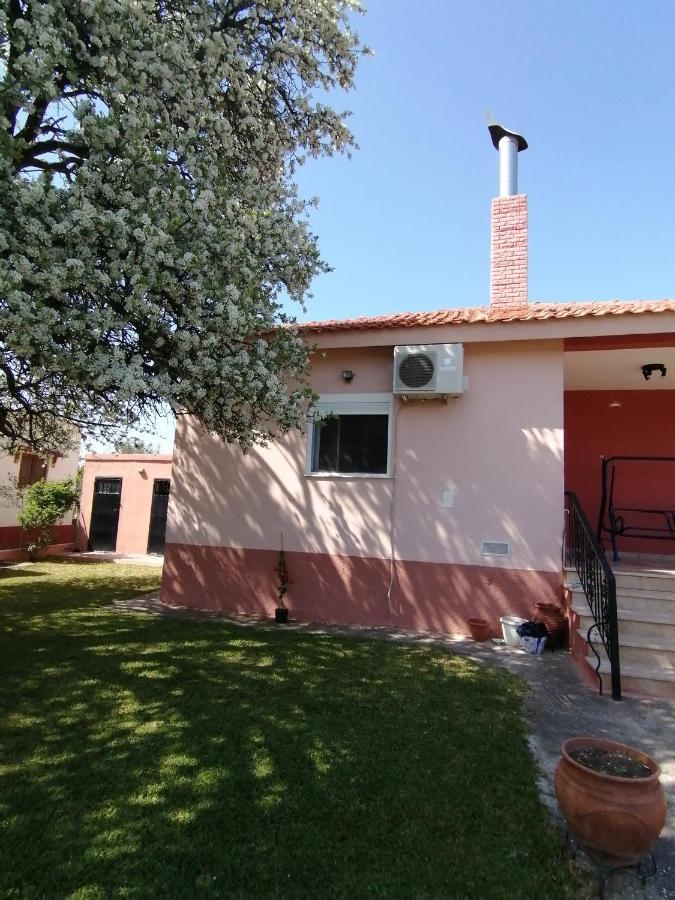 Αξέχαστη Διαμονή - Unforgettable Accommodation Nea Kallikrateia Eksteriør billede