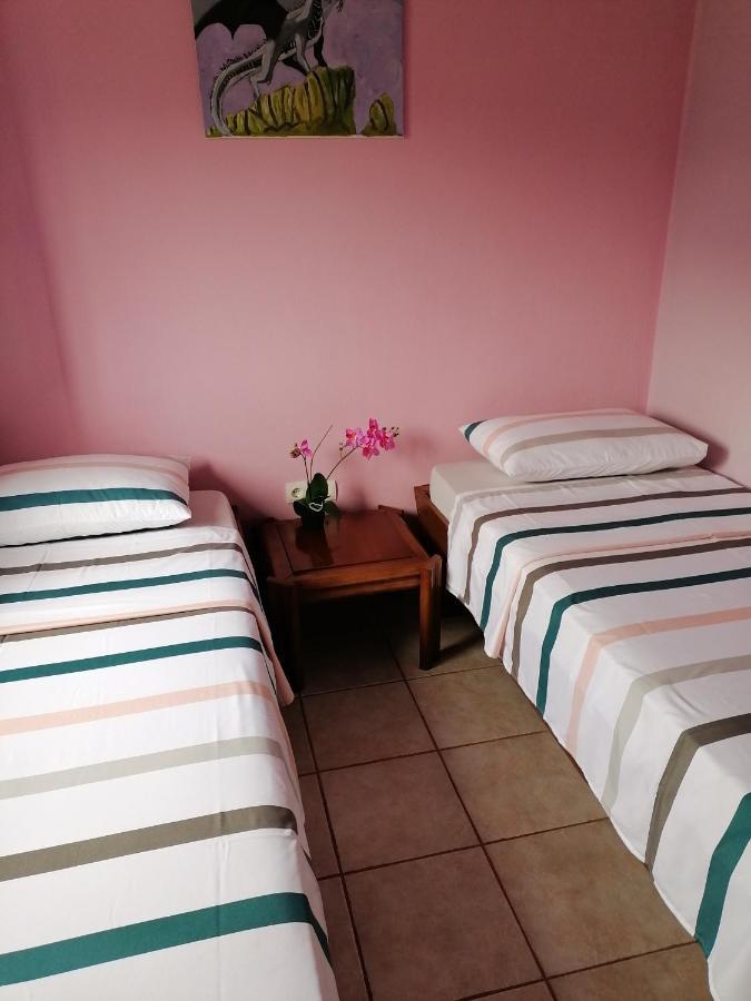 Αξέχαστη Διαμονή - Unforgettable Accommodation Nea Kallikrateia Eksteriør billede