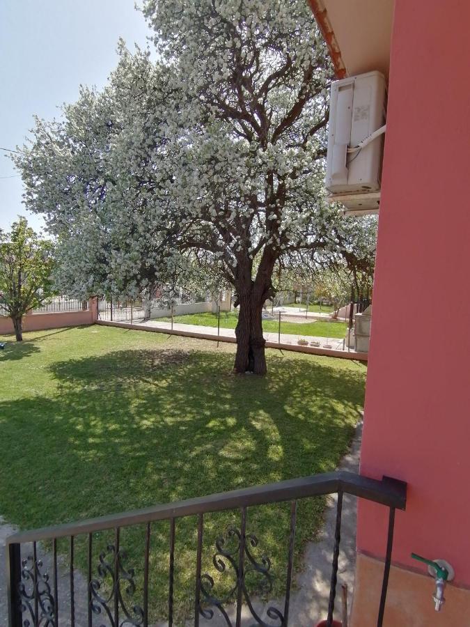 Αξέχαστη Διαμονή - Unforgettable Accommodation Nea Kallikrateia Eksteriør billede