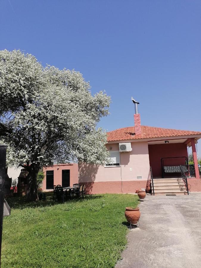 Αξέχαστη Διαμονή - Unforgettable Accommodation Nea Kallikrateia Eksteriør billede